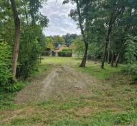 Na predaj rekreačný pozemok pri Dunaji - Gabčíkovo - Pozemky - bývanie v Gabčíkove s trávnatým pozemkom a stromami v prírodnom prostredí.