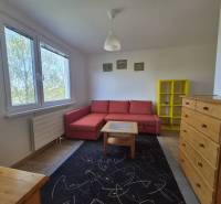 REZERVOVANÉ! Zariadená garsónka po kompletnej rekonštrukcii - Obývacia izba Rekreačného apartmánu s červenou pohovkou, žltou policou a podlahou s dreveným dekorom.