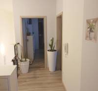 ☎️0904/842-727 Štýlové bývanie - 3izbový byt – Horný Bar - Interiér 3-izbového bytu s podlahou s dreveným dekorom a izbovými rastlinami.