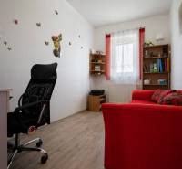 Znížená cena za 4 izbový rodinný dom v obci Jahodná - Interiér pracovne, pohodlná stolička, červený gauč, dekorácie, rodinný dom.