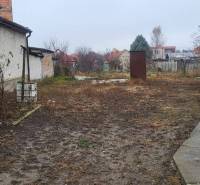 Na predaj starší rodinný dom v obci Ohrady - Záhrada rodinného domu v obci Ohrady, s neudržiavanou vegetáciou a nepoškodenými chodníkmi.