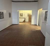 Exkluzívny obchodný priestor na prenájom v centre Dunajskej Stredy – u - Priestranné obchodné priestory s keramickou podlahou a dekoračnou stenou.