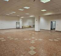 Exkluzívny obchodný priestor na prenájom v centre Dunajskej Stredy – u - Obchodné priestory s dlažbou, bielymi stenami a stropnými svietidlami.