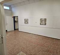 Exkluzívny obchodný priestor na prenájom v centre Dunajskej Stredy – u - Interiér obchodných priestorov s dlažbou a bielymi stenami, zdobenými kachličkami.