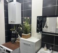 Štartovací 2-izbový byt s balkónom a klimatizáciou – Ohrady - Čierno-biela kúpeľňa v 2-izbovom byte s práčkou a ozdobnou zeleňou pri zrkadle.