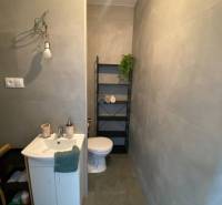 Na prenájom štýlový a moderný 2 izbový byt v centre Dunajskej Stredy - Kúpeľňa s umývadlom a toaletou v 2-izbovom byte, doplnená poličkou na uteráky.