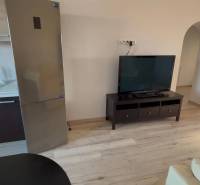 Prenájom 2-izbového bytu, Dunajská Streda - Obývačka v 2-izbovom byte s televízorom, chladničkou a podlahou s dreveným dekorom.