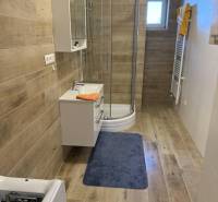 Prenájom 2-izbového bytu, Dunajská Streda - Kúpeľňa v 2-izbovom byte s podlahou s dreveným dekorom a sprchovacím kútom.