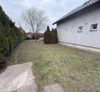 Predaj rodinného domu, Dunajská Streda - Rodinný dom v Dolnom Štále s upravenou záhradou, ihličnanmi a holým stromom.