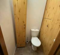 Prenájom 3-izbového bytu, Dunajská Streda - Toaleta v 3-izbovom byte so skrinkami z dreveným dekorom a bielym WC.