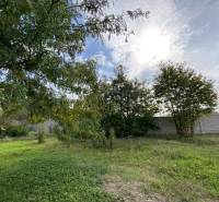 ☎️ 0918197701- Na predaj stavebný pozemok na stavbu RD v Gabčíkove / 9 - Pozemky - bývanie v Gabčíkove s trávnikom, stromami a betónovým plotom.