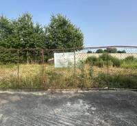 ☎️ 0918197701- Na predaj stavebný pozemok na stavbu RD v Gabčíkove / 9 - Pozemky - bývanie v Gabčíkove s kovovou bránou a zarasteným porastom.