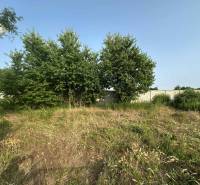 ☎️ 0918197701- Na predaj stavebný pozemok na stavbu RD v Gabčíkove / 9 - Pozemky na bývanie v Gabčíkove, s trávnatými plochami a stromami, obklopené zeleňou.