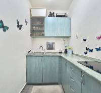 ☎️ 0918197701- PREDAJ - Nebytových priestorov Dunajská Streda - Kuchyňa s motívom motýľov, modré skrinky a kuchynská linka s keramickou varnou doskou.