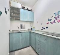 ☎️ 0918197701- PREDAJ - Nebytových priestorov Dunajská Streda - Kuchyňa s pastelovými skrinkami a dekoráciami motýľov, ideálna pre obchodné priestory.