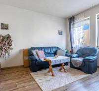 ☎️ 0918197701- PREDAJ - Nebytových priestorov Dunajská Streda - Pohodlný obývací priestor, modré kreslá, koberec, knihovnička, podlaha s dreveným dekorom.