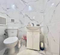 ☎️ 0918197701- PREDAJ - Nebytových priestorov Dunajská Streda - Toaleta s umývadlom, mramorové obklady, biely nábytok, dekoratívne kvety na zemi.