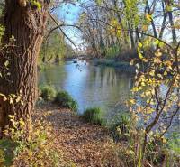 ☎️ 0918197701-Predám stavebný pozemok v obci Kráľov Brod - Znížená cen - Rieka obklopená stromami poskytuje krásny pohľad na pozemky - bývanie v Kráľovom Brode.