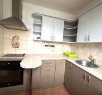 REZERVOVANÉ  ☎️ 0918/197 701 Na prenájom garsónka blízkosti centra mes - Kuchyňa v rekreačnom apartmáne s kuchynskou linkou a varnou doskou.