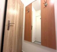 REZERVOVANÉ  ☎️ 0918/197 701 Na prenájom garsónka blízkosti centra mes - V Rekreačnom apartmáne vidieť zrkadlo s vešiakmi, podlaha s dreveným dekorom.