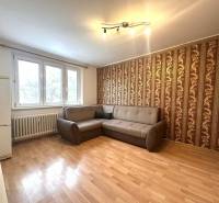 REZERVOVANÉ  ☎️ 0918/197 701 Na prenájom garsónka blízkosti centra mes - Rekreačný apartmán s pohodlnou sedačkou, tapetovanou stenou a podlahou s dreveným dekorom.