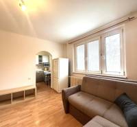 REZERVOVANÉ  ☎️ 0918/197 701 Na prenájom garsónka blízkosti centra mes - Rekreačný apartmán s pohovkou, podlahou s dreveným dekorom a kuchyňou v pozadí.