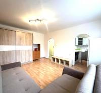 REZERVOVANÉ  ☎️ 0918/197 701 Na prenájom garsónka blízkosti centra mes - Rekreačný apartmán so sedačkou, podlahou s dreveným dekorom, kuchyňou a skriňou na uloženie vecí.