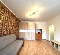 REZERVOVANÉ  ☎️ 0918/197 701 Na prenájom garsónka blízkosti centra mes - Obývacia izba v Rekreačnom apartmáne s podlahou s dreveným dekorom a vzorovanou tapetou.