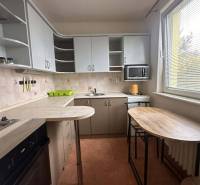 REZERVOVANÉ  ☎️ 0918/197 701 Na prenájom garsónka blízkosti centra mes - Kuchyňa v rekreačnom apartmáne s bielymi skrinkami, barovým pultom a mikrovlnkou.