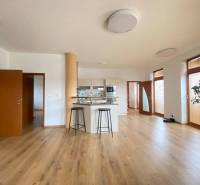 ☎️0918197701  Na prenájom  elegantný 3 izbový byt priamo v centre Duna - 3-izbový byt s otvorenou kuchyňou a podlahou s dreveným dekorom.