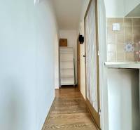 ☎️  0918/197 701  Na prenájom 1 izbový byt s balkónom a pivnicou v mes - Úzka chodba s poličkou a dverami, podlaha s dreveným dekorom v 1-izbovom byte.