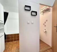 ☎️  0918/197 701  Na prenájom 1 izbový byt s balkónom a pivnicou v mes - V 1-izbovom byte je kúpeľňa s dlažbou a podlahou s dreveným dekorom.