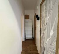 ☎️  0918/197 701  Na prenájom 1 izbový byt s balkónom a pivnicou v mes - Úzka chodba so stenami a podlahou s dreveným dekorom, regálom v 1-izbovom byte.