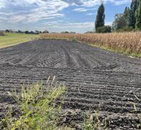 ZNÍŽENÁ CENA! Stavebný pozemok o rozlohe 557 m2 v Holiciach! - Orná pôda v Holiciach, obklopená kukuričným poľom. Využitie na pozemky - bývanie.