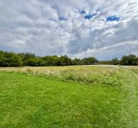 NA PREDAJ | investičný developerský pozemok | Rusovce |  - Developerské pozemky v Bratislave - Rusovciach na ulici Pri Pieskovom Hone, trávnatá plocha.