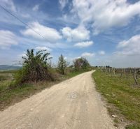 Pozemok v Modre s výmerou až 58.977 m2 - Vidiecka cesta medzi viničom a zeleňou na Dolnej ulici v Modre, pozemky - bývanie.