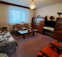 NA PREDAJ 6 izbový rodinný dom v obci Hrušovany  - Obývačka v rodinnom dome s kobercovou podlahou, nábytkom a dekoráciami.