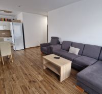 Rekreačný apartmán Vys. Tatry- HREBIENOK RESORT I. - 92 m2 -3-izbový - Rekreačný apartmán s podlahou s dreveným dekorom, kuchyňou a pohodlnou sedačkou.