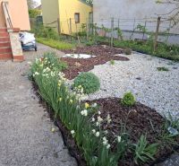 Komfortný dom pre celú rodinu - Záhrada rodinného domu v Trnave s kvetinovými záhonmi a štrkovým povrchom.