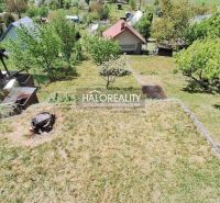 Predaj, chata Revúca - EXKLUZÍVNE HALO REALITY - Záhrada pri chate v Revúci s trávnatým porastom a ovocnými stromami.