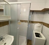 NA PRENÁJOM šikovný 2-IZB.BYT, Kalinčiakova ul., Senica - Kúpeľňa v 2-izbovom byte s umývadlom, sprchovým kútom a práčkou.