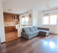 Bývanie s vlastnou predzáhradkou – zariadený 2-izbový byt (62+33 m²) - Obývacia izba v 2-izbovom byte s kuchynským kútom a podlahou s dreveným dekorom.