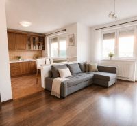 Bývanie s vlastnou predzáhradkou – zariadený 2-izbový byt (62+33 m²) - Obývacia izba a kuchyňa v 2-izbovom byte s podlahou s dreveným dekorom.