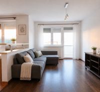 Bývanie s vlastnou predzáhradkou – zariadený 2-izbový byt (62+33 m²) - Obývacia izba v 2-izbovom byte s podlahou s dreveným dekorom a veľkou pohovkou.