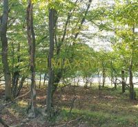 Slnečný takmer hektárový pozemok (9410m²) v k.ú. Kuchyňa s nádherným p - Lesný porast na rekreačných pozemkoch v Kuchyni, Kuchyni ponúka osviežujúci pohľad na prírodu.
