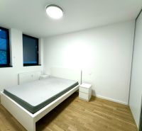 Medicínske centrum alebo budova s 8 apartmánmi - Spálňa s posteľou, vedľa sú dve okná, zasahuje sem umelý osvetlenie stropným svietidlom.