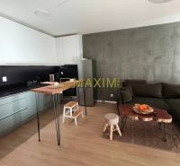 2- izbový byt v obci Miloslavov s predzáhradkou - Obývacia izba s kuchynskou linkou, podlaha s dreveným dekorom, 2-izbový byt.