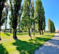 Exkluzívna šanca! Stavebný pozemok vo Vlčanoch, len na skok od Šale. - Zeleň s vysokými stromami a cestou pri rodinných domoch vo Vlčanoch.