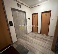 NOVINKA Priestranný 3-izbový byt (99 m²) s pozemkom, terasou, 2 balkón - Vstupná hala v 3-izbovom byte s podlahou s dreveným dekorom a dvoma dverami.