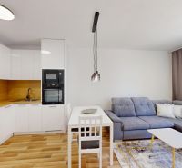 Prenájom dvojizbový byt -49 m2, Senica, Sadová ul. - Obývačka s kuchynským kútom, podlahou s dreveným dekorom a sivou sedačkou v 2-izbovom byte.